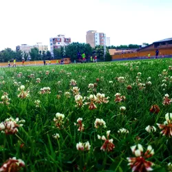 Gelerood River - Borujerd