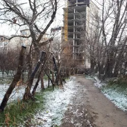 Gelerood River - Borujerd