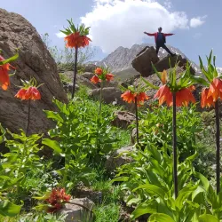 Oshtorankuh Mountain Range - Borujerd