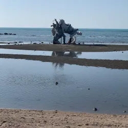 Bushehr Coastal Promenade - Bushehr
