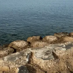 Bushehr Coastal Promenade - Bushehr