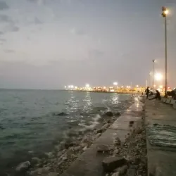 Bushehr Coastal Promenade - Bushehr