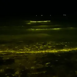 Bushehr Cultural Center - Bushehr