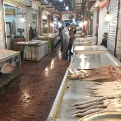 Bushehr Fish Market - Bushehr