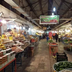 Bushehr Fish Market - Bushehr