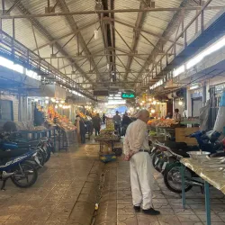 Bushehr Fish Market - Bushehr