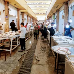 Bushehr Fish Market - Bushehr