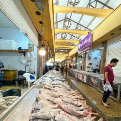 Bushehr Fish Market - Bushehr