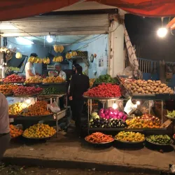 Bushehr Fish Market - Bushehr