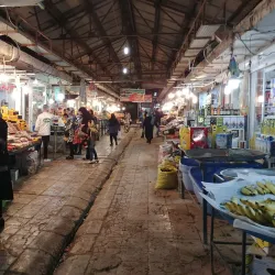 Bushehr Old Town - Bushehr