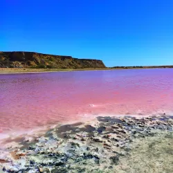 Chābahār Mangrove Forests - Chābahār