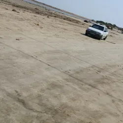 Chābahār Mangrove Forests - Chābahār