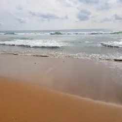 Chābahār Mangrove Forests - Chābahār