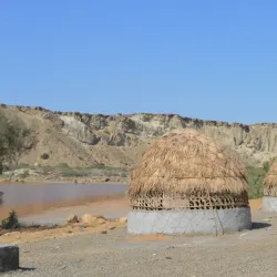 Chābahār Mangrove Forests - Chābahār