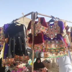 Chābahār Mangrove Forests - Chābahār