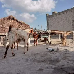 Gwadar Bay - Chābahār
