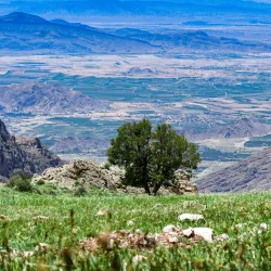 Ancient Ruins of Fasā - Fasā
