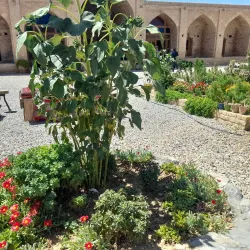 Historic Caravanserai - Fasā