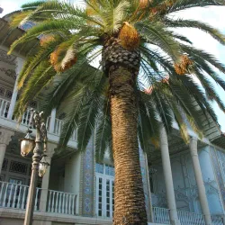 Local Parks and Gardens - Fasā