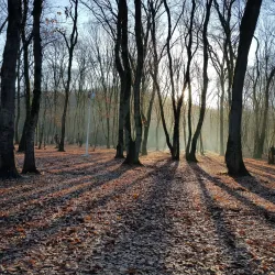Alangdareh Forest Park - Gorgan