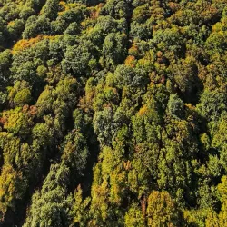 Alangdareh Forest Park - Gorgan