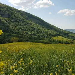 Golestan National Park - Gorgan