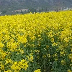 Golestan National Park - Gorgan