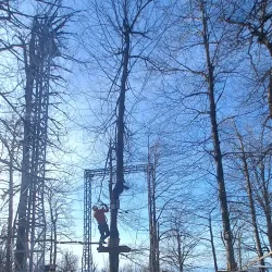 Namak Abrood Forest - Gorgan