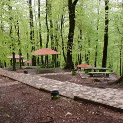 Namak Abrood Forest - Gorgan