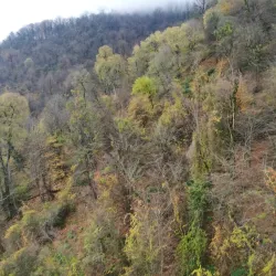 Namak Abrood Forest - Gorgan