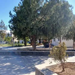 Stone Lion of Hamadan - Hamadan