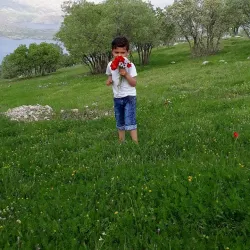 Cheshmeh Shirin (Sweet Spring) - Ilam