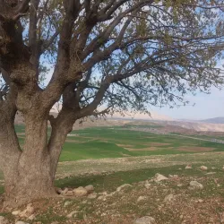 Cheshmeh Shirin (Sweet Spring) - Ilam