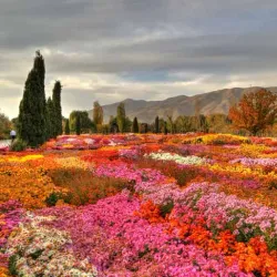 Ilam University Botanical Garden - Ilam