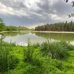 Ilam University Botanical Garden - Ilam