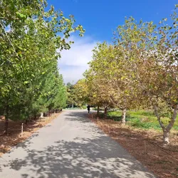 Ilam University Botanical Garden - Ilam