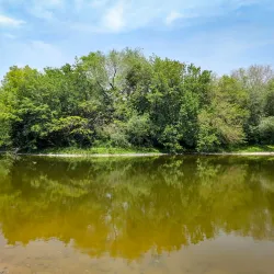 Ilam University Botanical Garden - Ilam