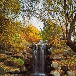 Ilam University Botanical Garden - Ilam