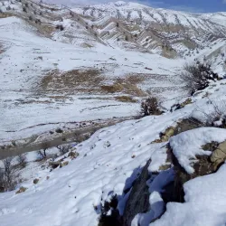 Kabir Kouh Protected Area - Ilam