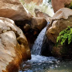 Kabir Kouh Protected Area - Ilam