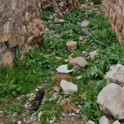 Historical Mosques of Izeh - Izeh