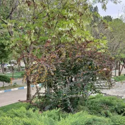 Azadegan Park - Karaj