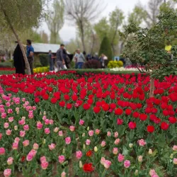 Karaj Botanical Garden - Karaj