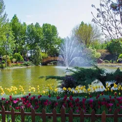 Karaj Botanical Garden - Karaj