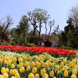 Karaj Botanical Garden - Karaj