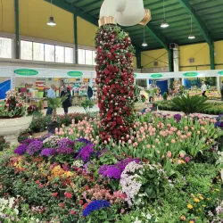 Karaj Botanical Garden - Karaj