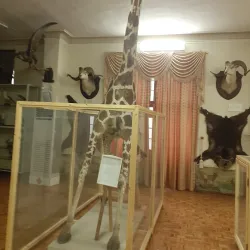 Karaj Museum of Anthropology - Karaj