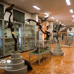 Karaj Museum of Anthropology - Karaj