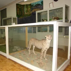 Karaj Museum of Anthropology - Karaj