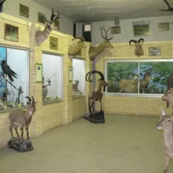 Karaj Museum of Anthropology - Karaj